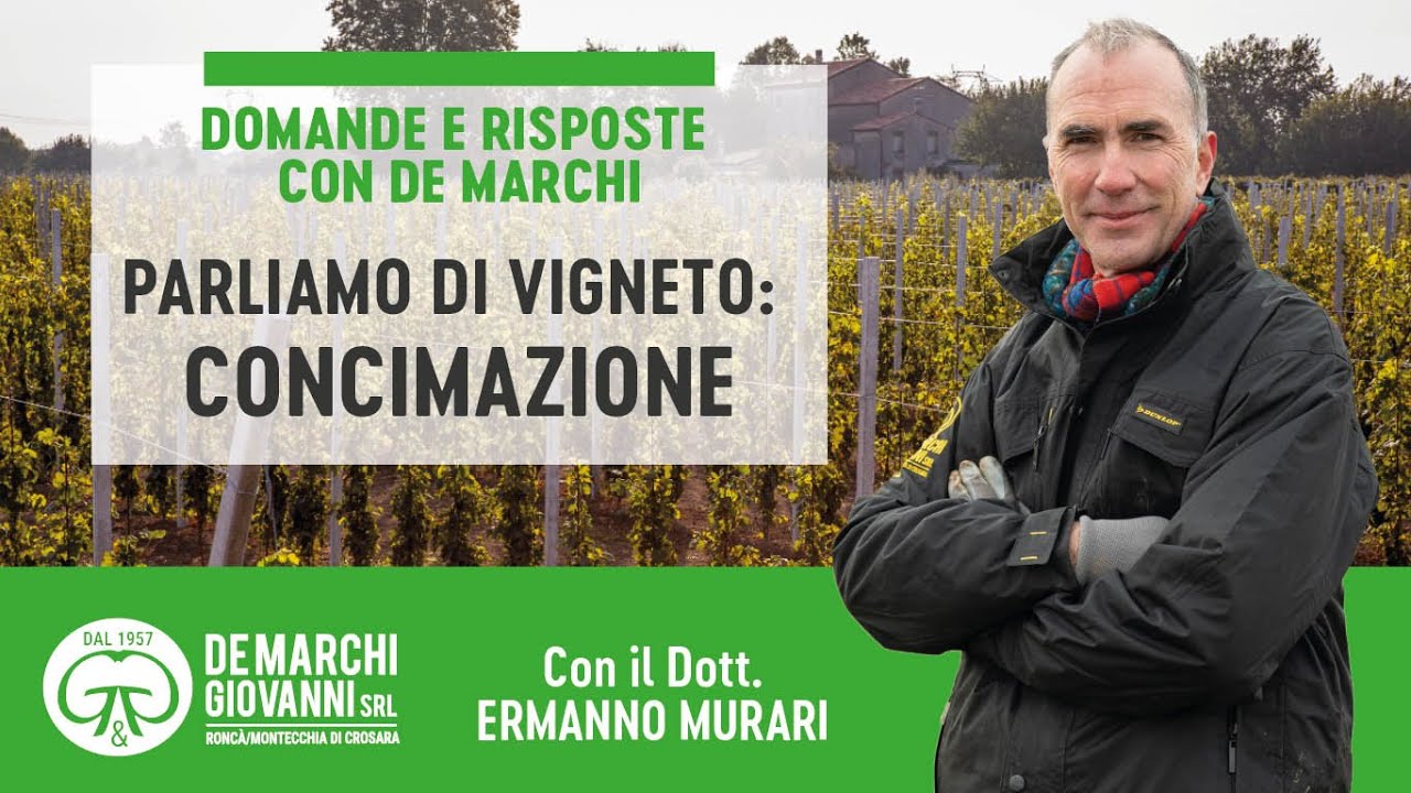 PARLIAMO DI VIGNETO  CONCIMAZIONE