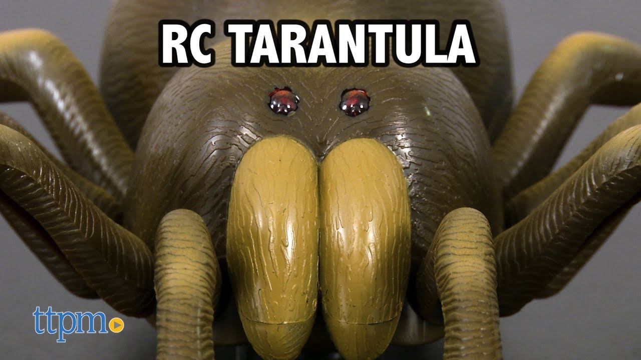 RC Tarantula from Discovery