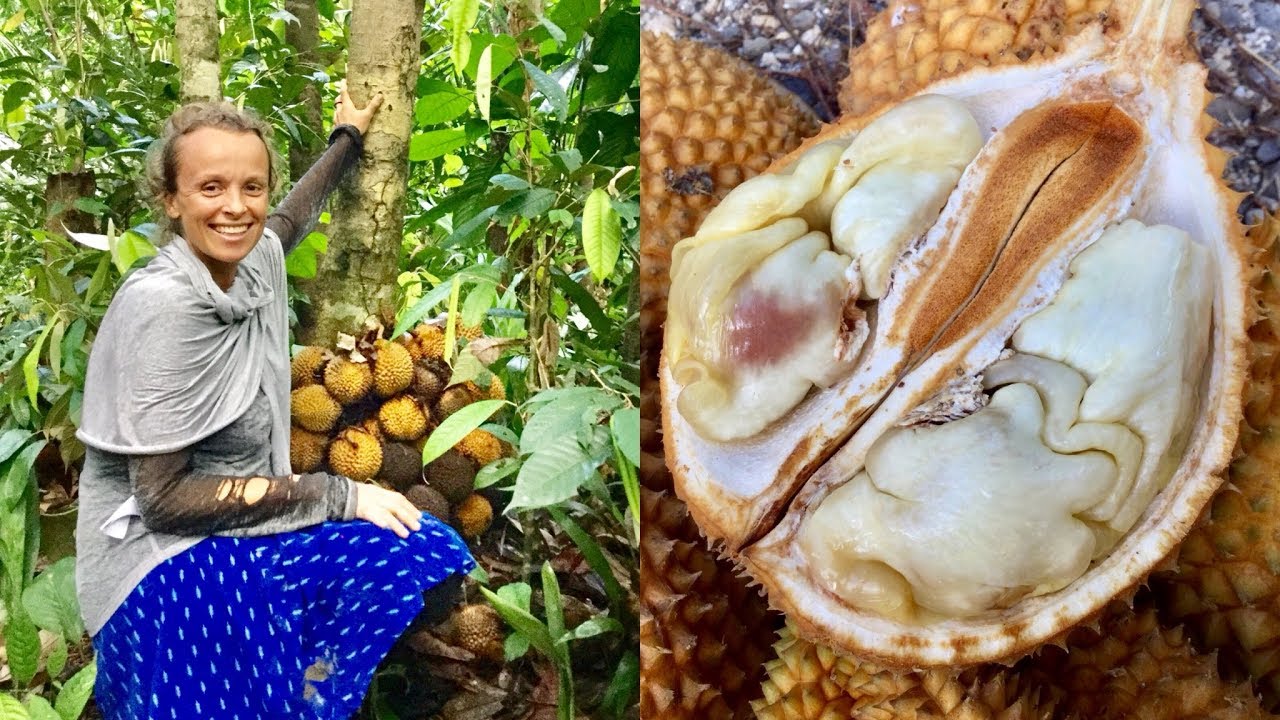We Hunt The Rarest Durian On The Planet And Find It!