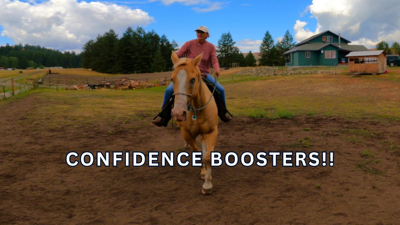 LOST YOUR CONFIDENCE? FIND IT HERE!