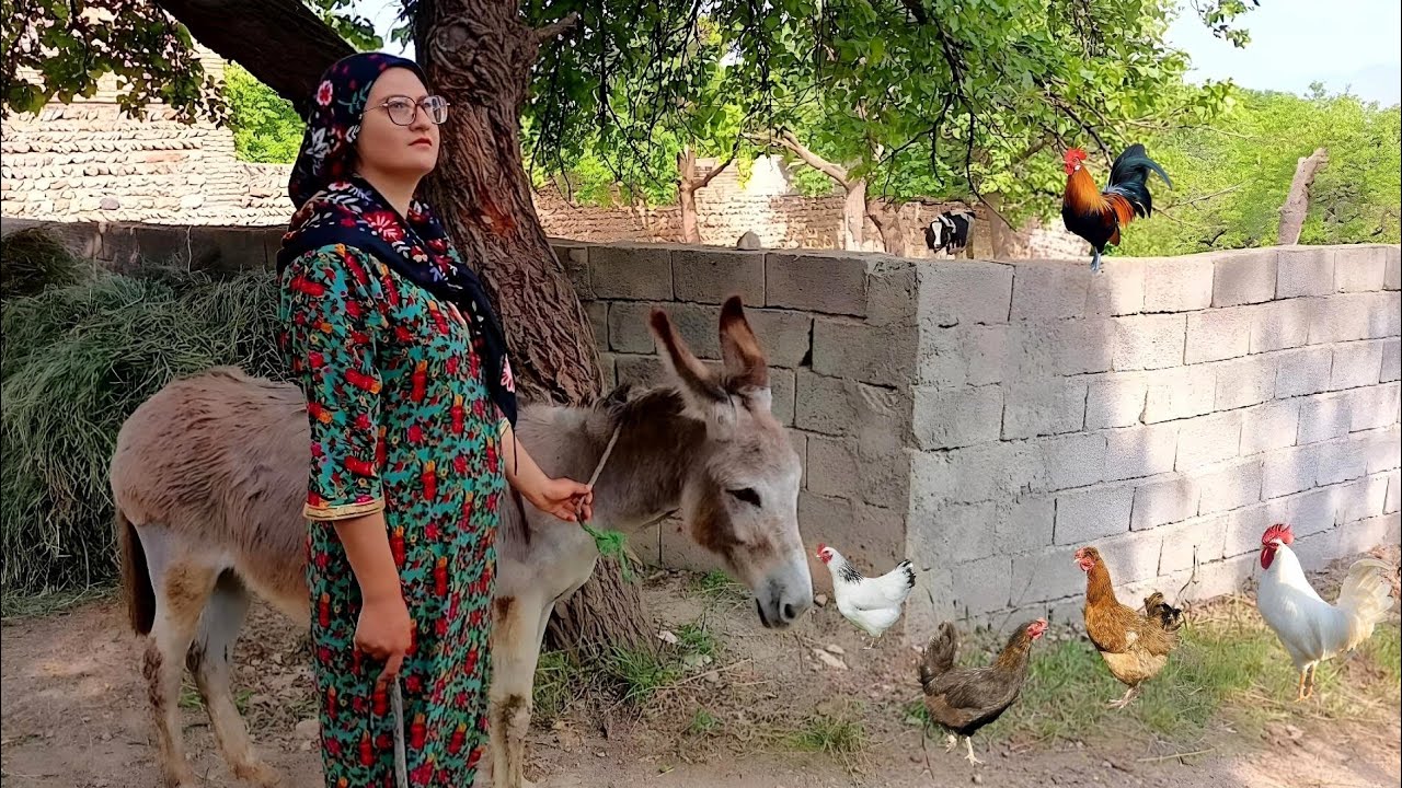 Bareback Donkey Ride Through Village Nature – Calm You Can’t Find in City