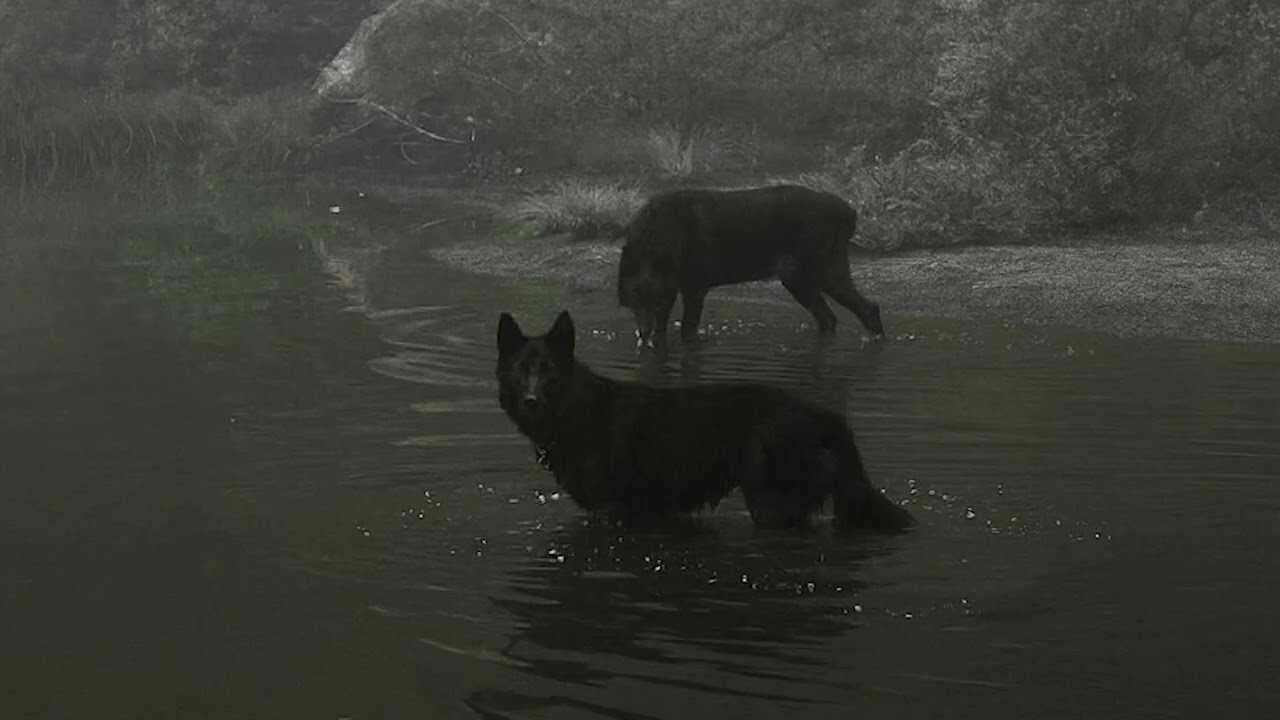 thinking of you keeps me awake | slowcore playlist