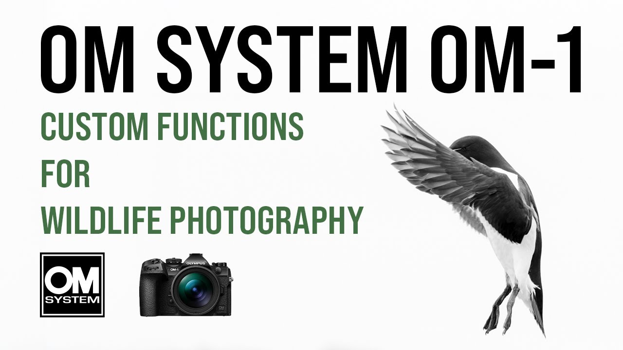 Система OM OM-1: пользовательские функции для фотосъемки дикой природы