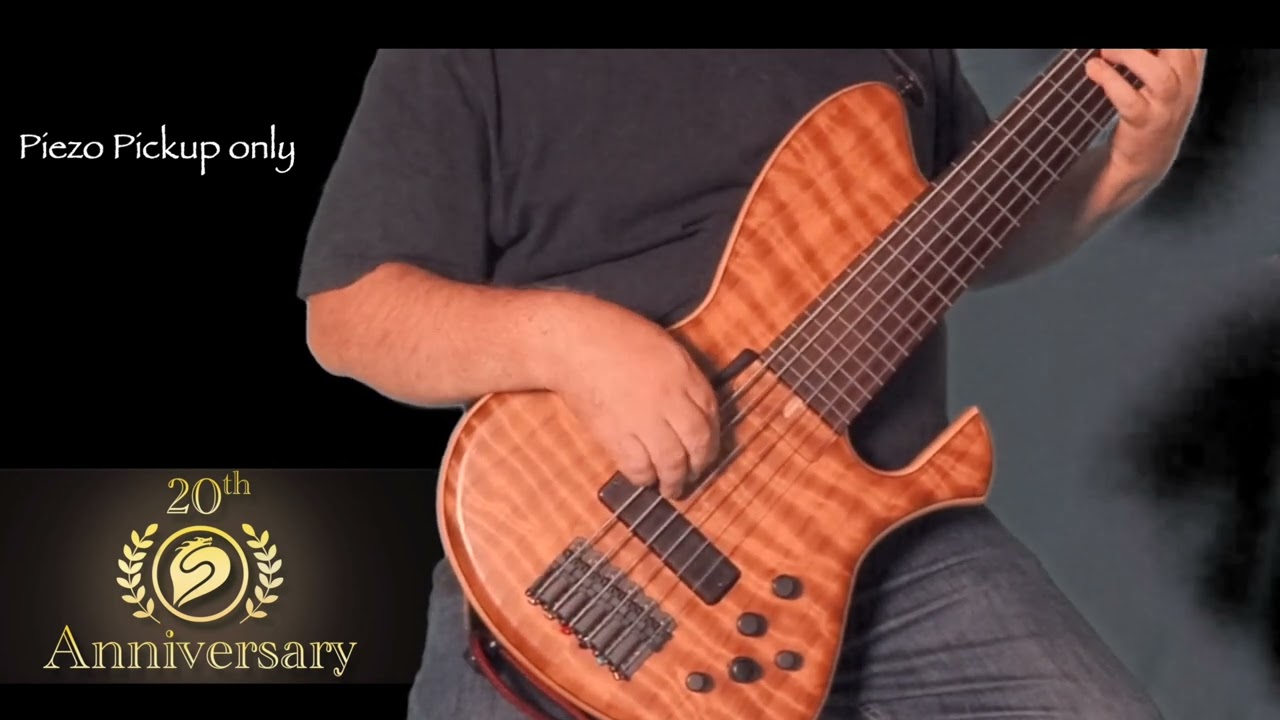Skjold Bass Artist Andy Woodson playing custom six string fretless 