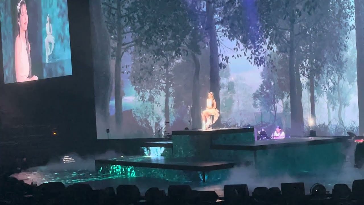 IU Through the Night