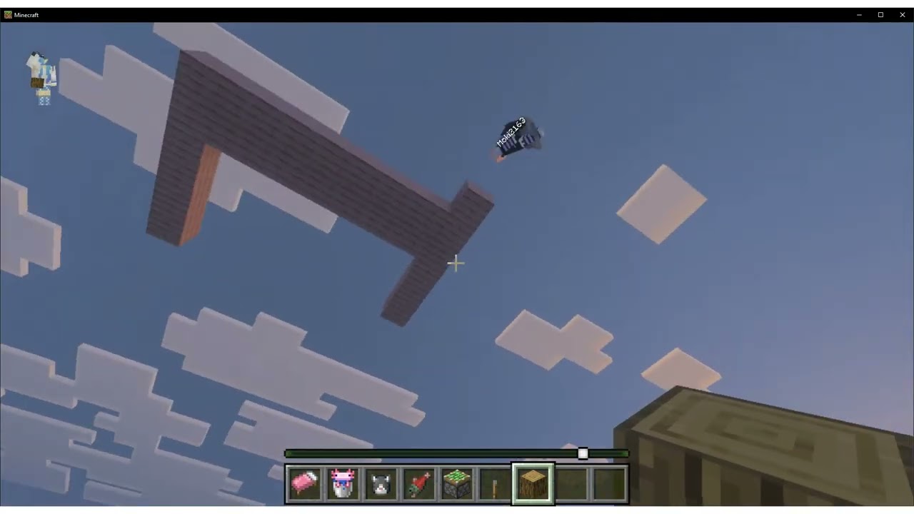 Playing minecraft with LUKA!