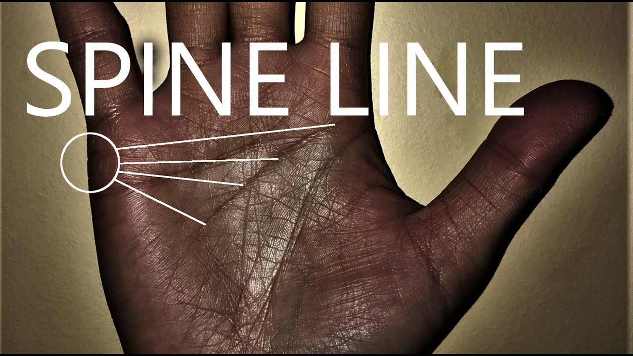 What Your SPINE LINE Shows May SURPRISE YOU !!