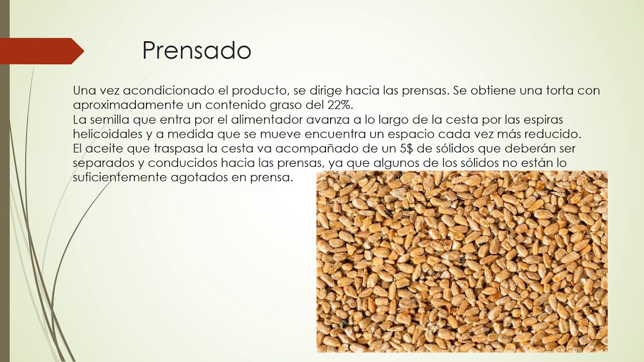 Proceso de producci&oacute;n de aceite vegetal
