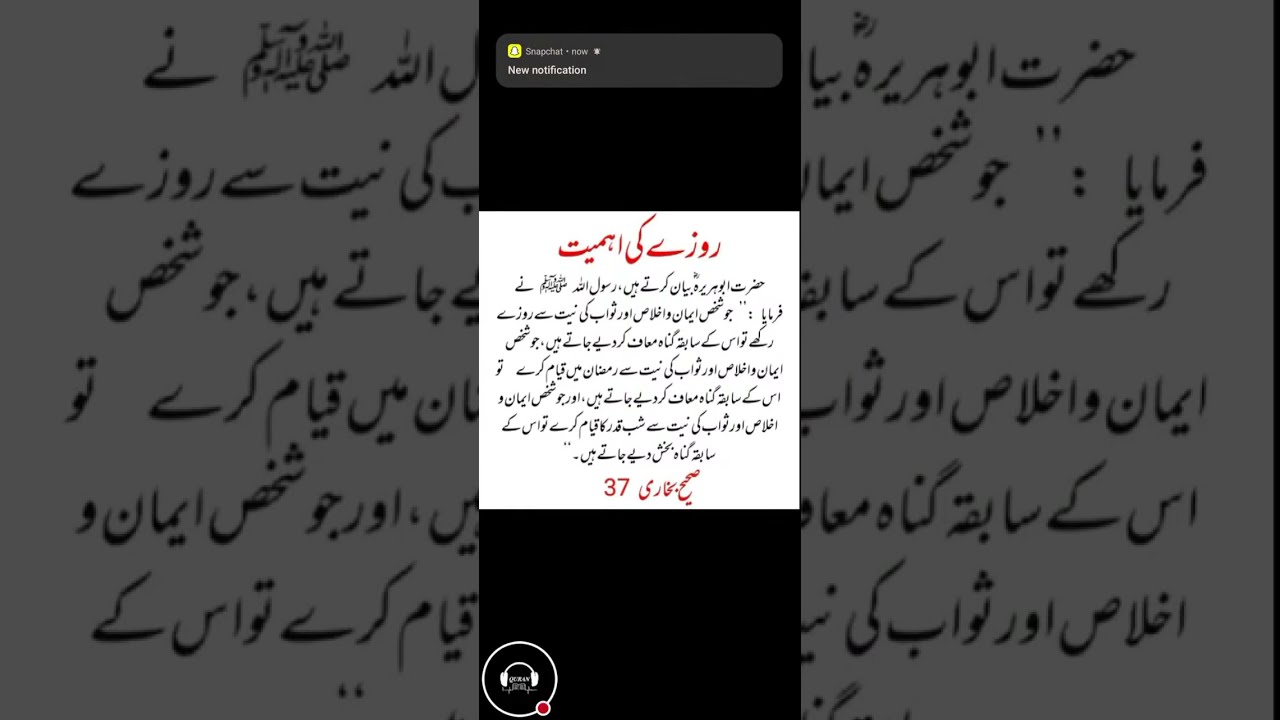 The Quran Voice | live videos