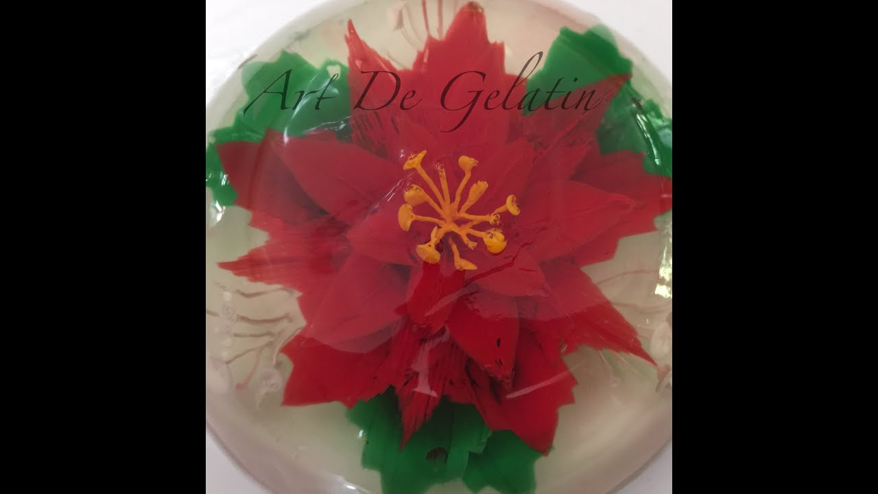 Poinsettia- Noche Buena Gelatinas Artistica / Floral Paso A Paso
