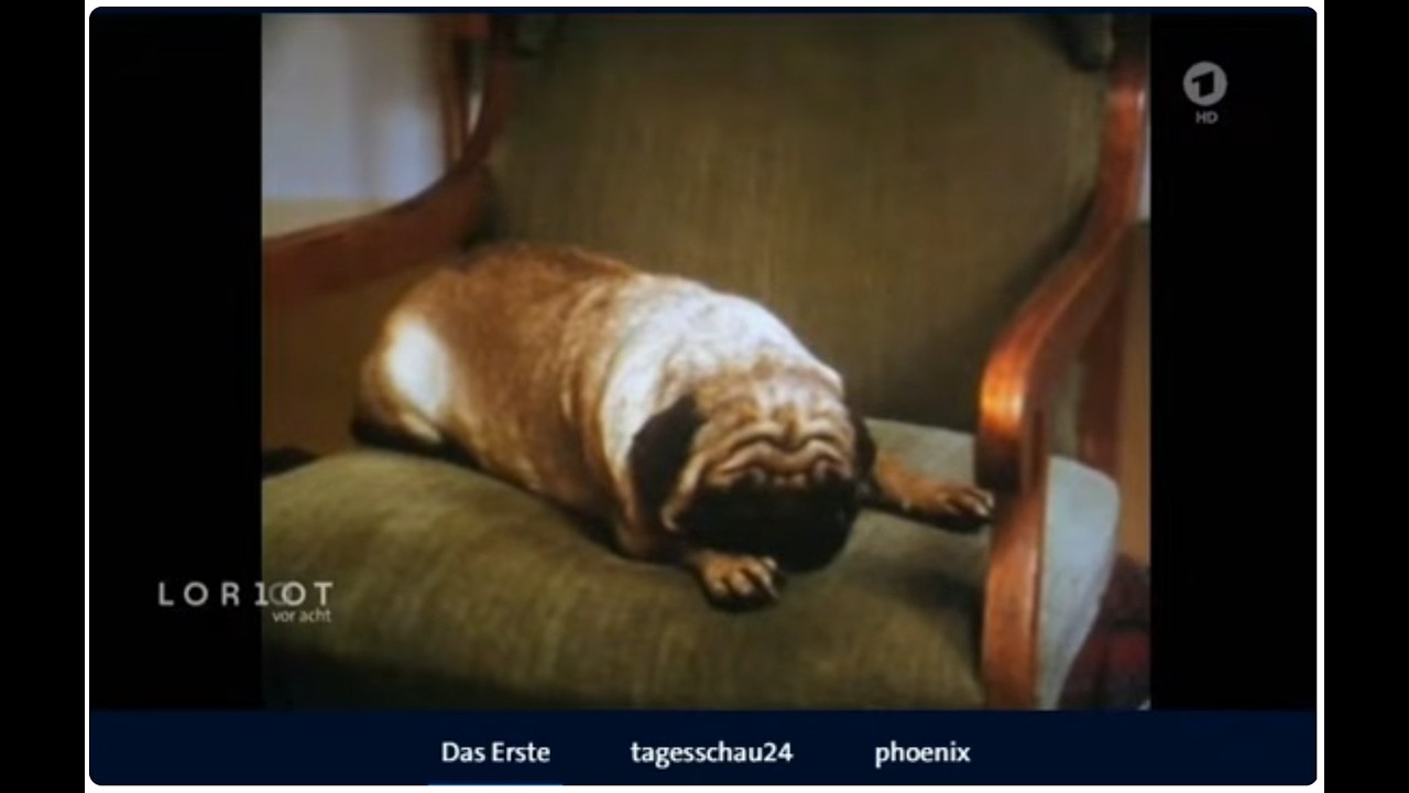 Loriot: der Mops