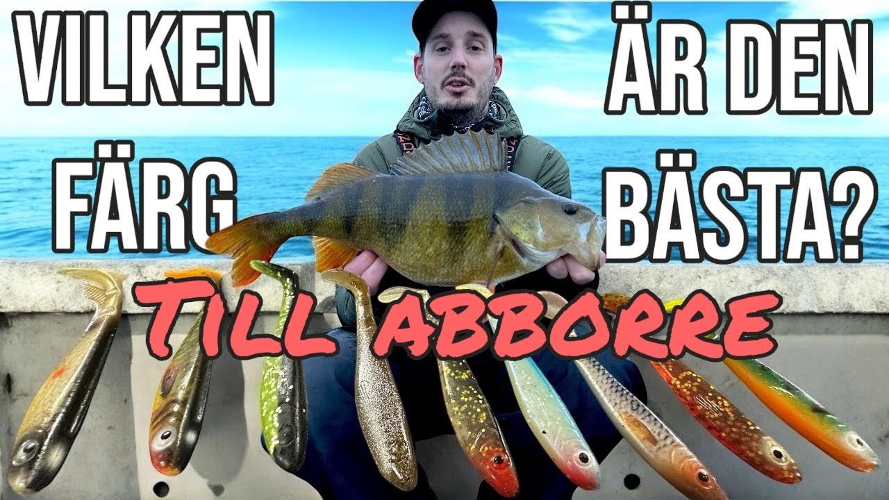 VÄLJA FÄRG till ABBORREFISKE - Mina BÄSTA TIPS för ALLA VATTEN!