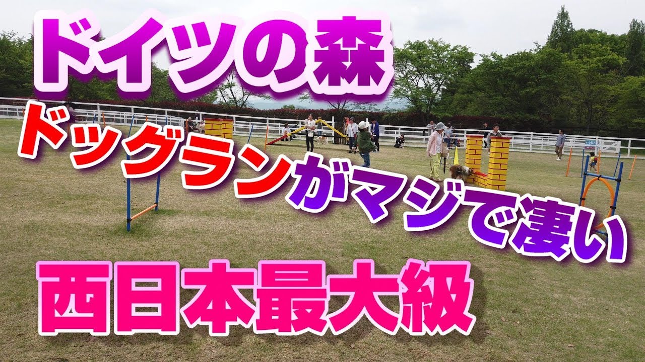 ドイツの森のドッグランがマジで凄い！！【西日本最大級】