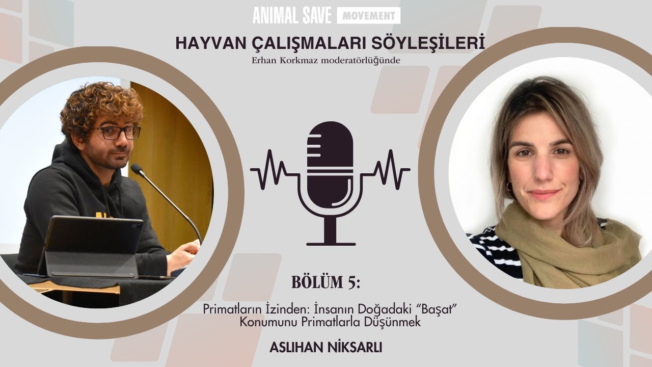 Primatların İzinden: İnsanın Doğadaki 