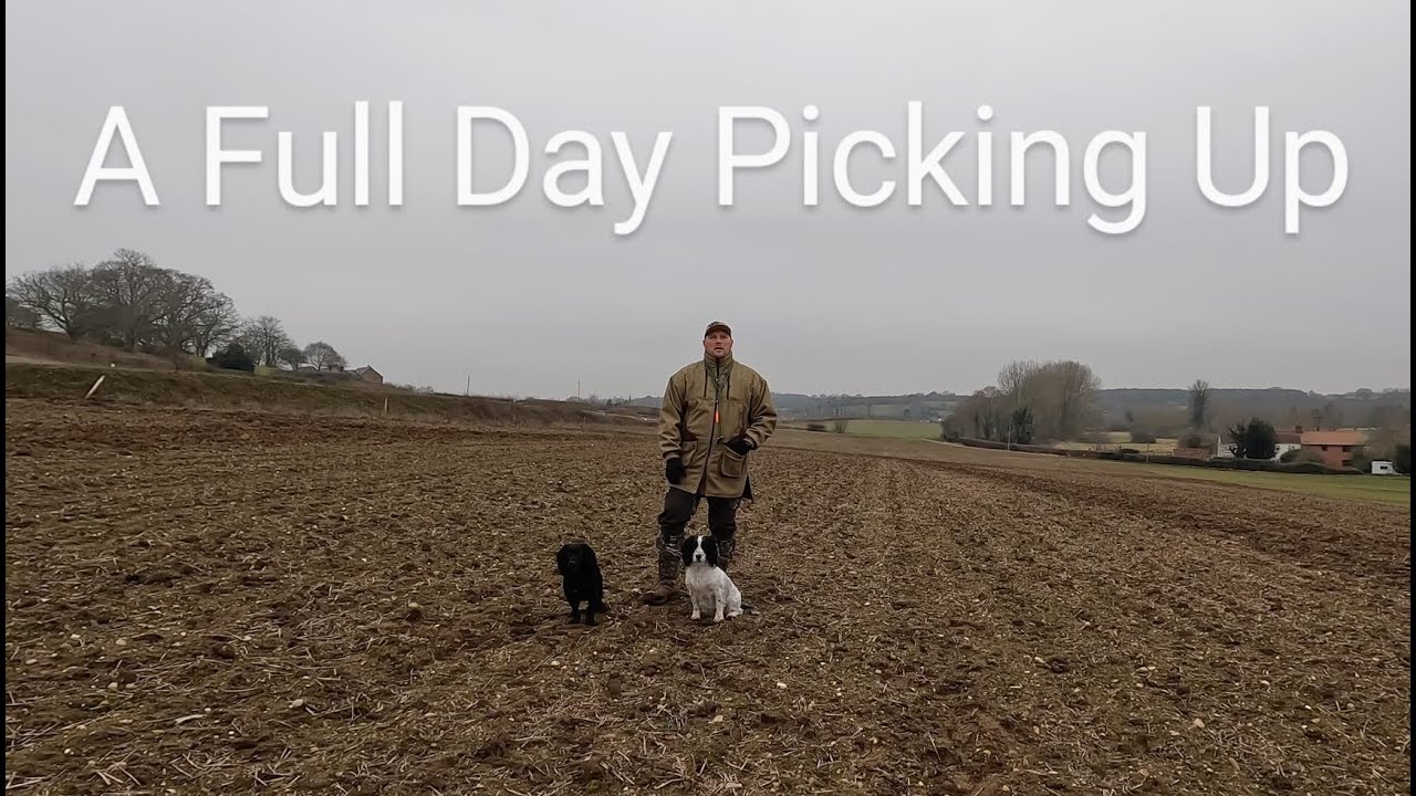 Picking up | Beating | A Full Day Out