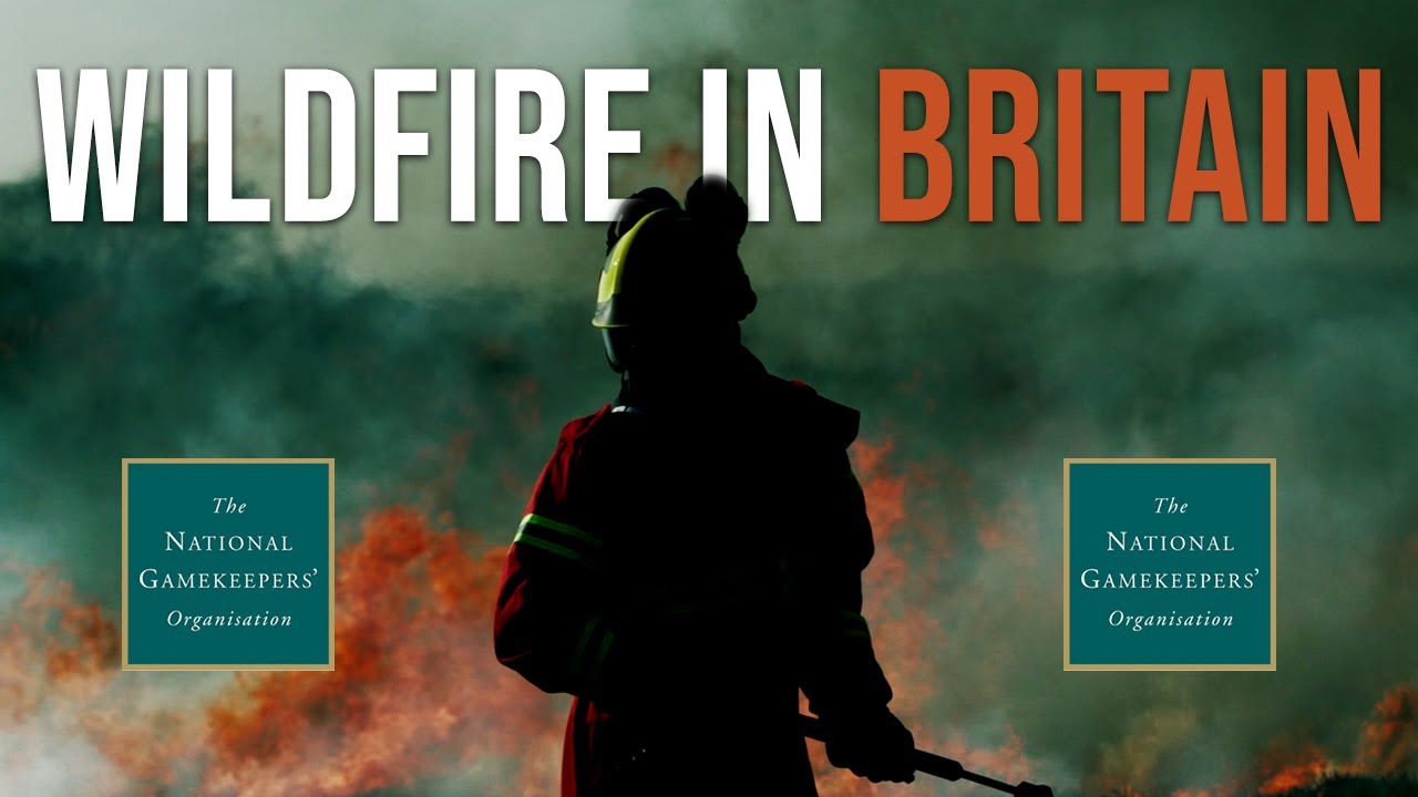 Wildfires In Britain