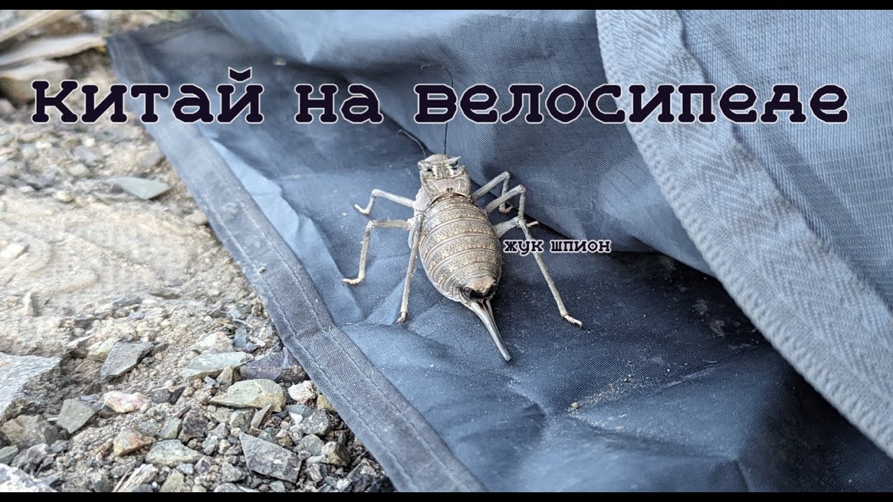 Китай на велосипеде. Часть 2