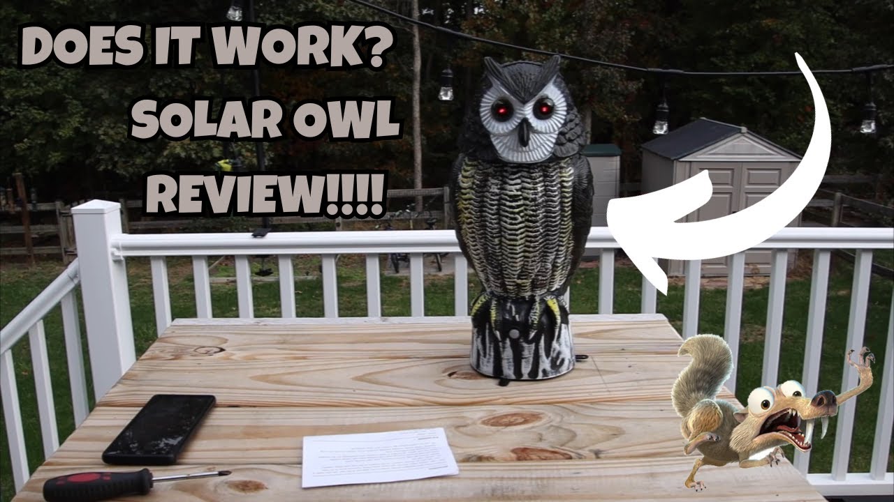 Solar Bird Repellent, Owl Decoy Bird Deterrent Devices Outdoor with Flashing Eyes REVIEW!