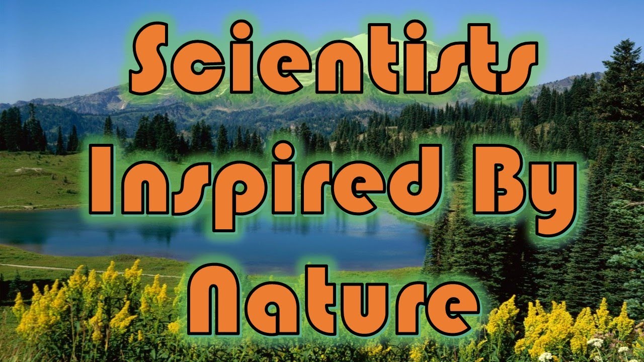 Scientists Inspired By Nature
