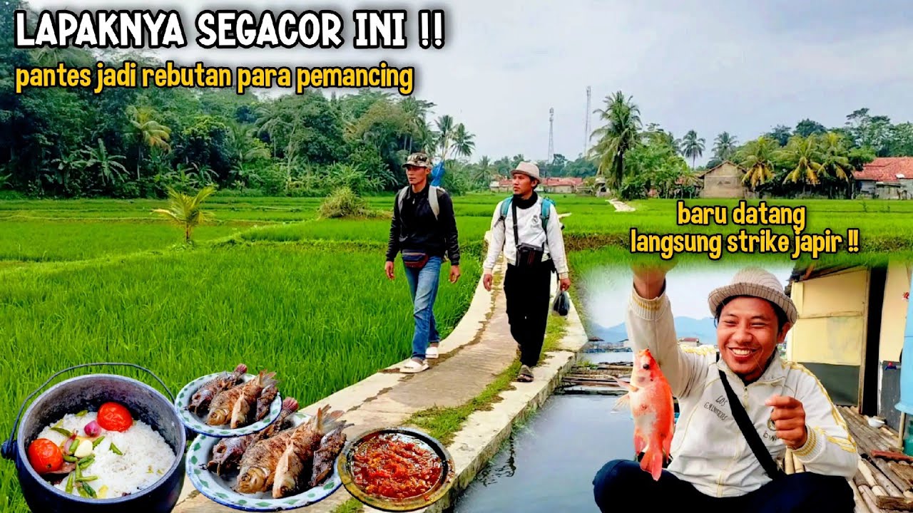 GILAAA‼️BARU MULAI LEMPAR UMPAN LANGSUNG STRIKE IKAN NILA, MANCING CIRATA | fishing & cooking