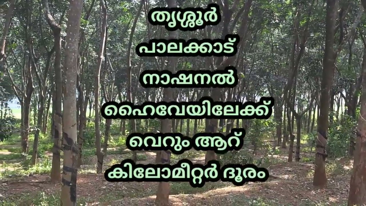 ബസ് റൂട്ടിനടുത്ത് വിലക്കുറവിൽ 4 ഏക്കർ റബർ തോട്ടം പാലക്കാട് ജില്ലയിൽ 9074874966