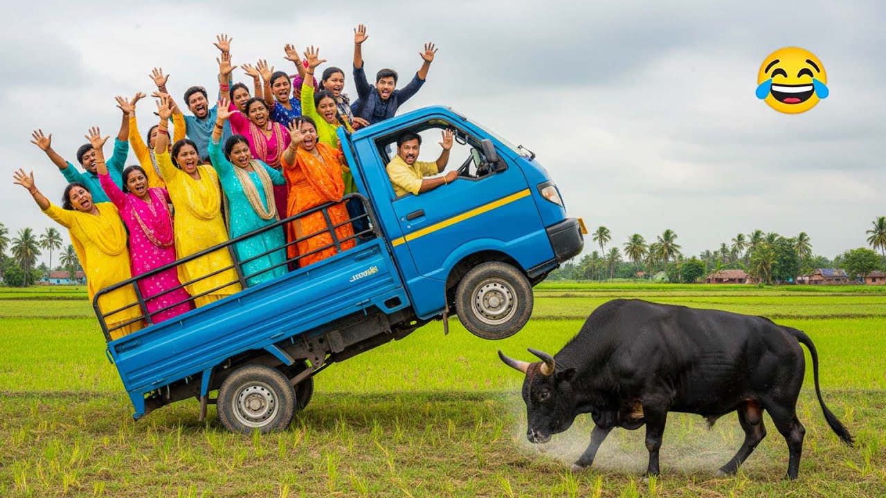 Top New Comedy Video Amazing Funny Video 😂 Try To Not Laugh Episode 255 by Maha Funny Factory