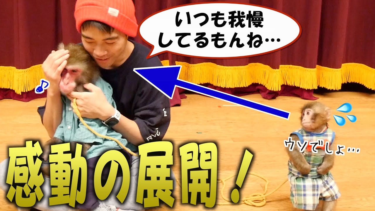 いつも我慢している「お兄ちゃん猿」を優先したら「赤ちゃん猿」は嫉妬する？