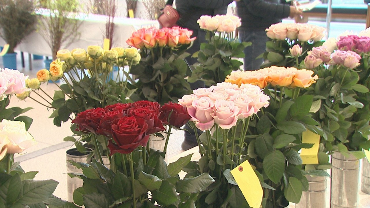 群馬・前橋市内の花生産者が栽培　バラなど１２９点並ぶ(26/02/19)