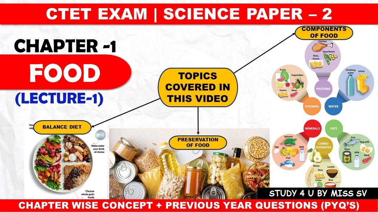 Ctet science paper 2 |food | Ctet 2024 | by miss sv mam