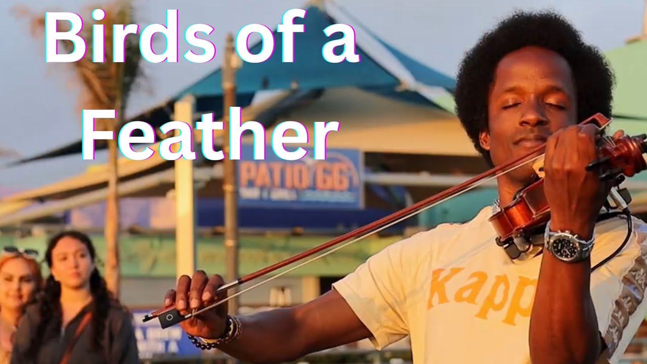 BIRDS OF A FEATHER - Billie Eilish (Violin Cover)