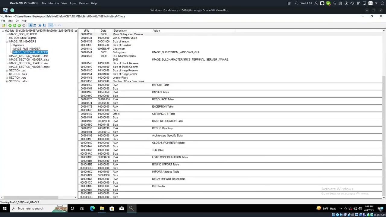 Malware Analysis - MalBuzz, PEStudio, PEView Short Video