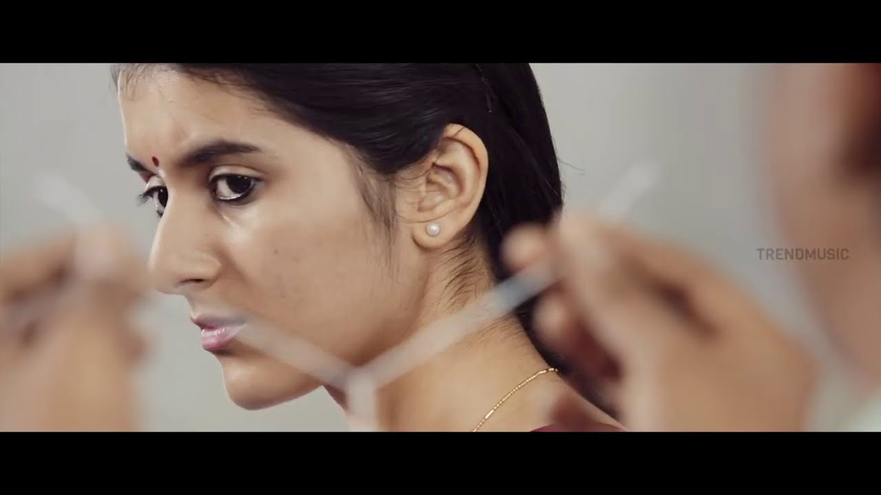 Ninaivo Oru Paravai Tamil Movie   Menaminiki Song,   ,   Hari Baskar   ,song with you