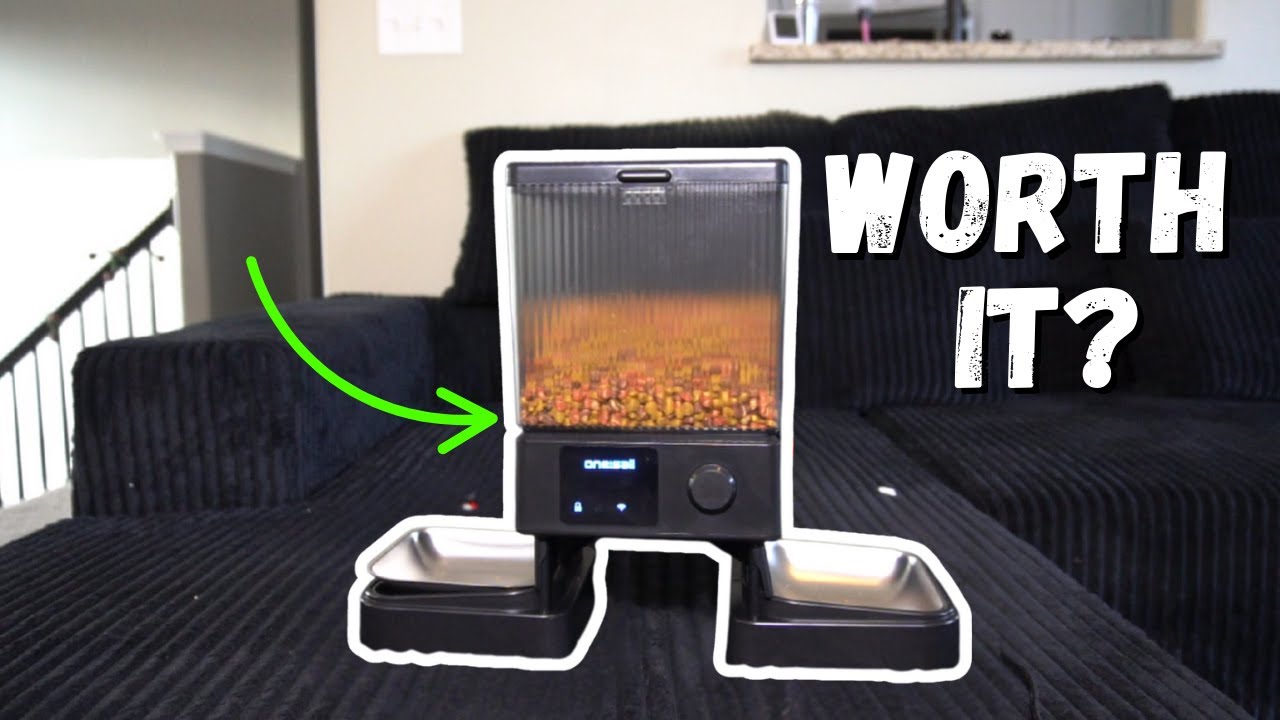 BEFORE You BUY The Oneisall Automatic Pet Feeder Watch This