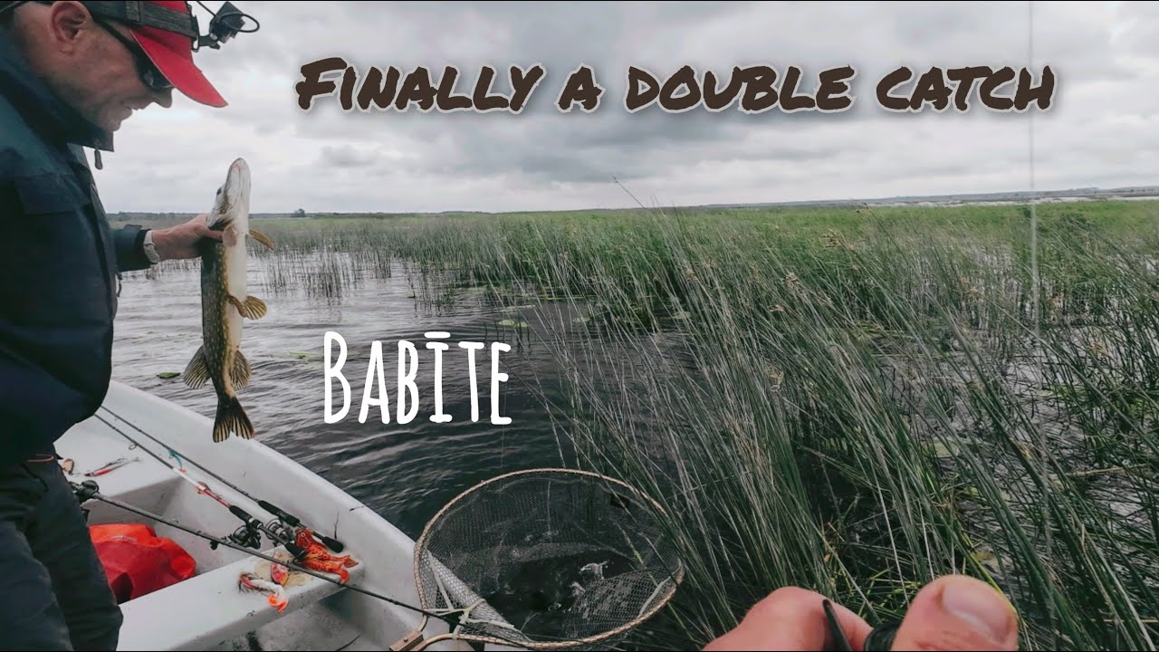 BABĪTE - sinhronais līdaku loms | {ENG sub} - Double pike catch [09.06.2025]