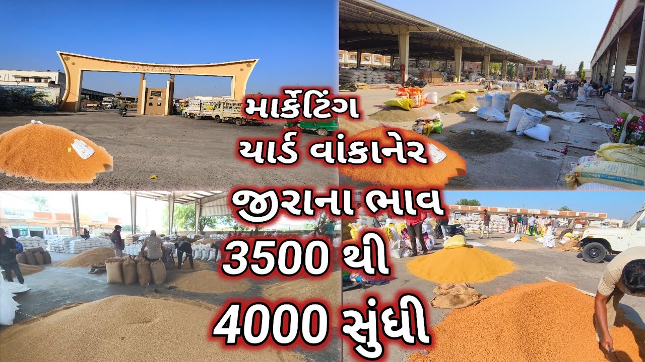 ખેડૂત no માલ વેપારી ka તાલ 🤔l ભાગ 2# l ભાવ ને લઈને ખેડૂતોમાં ચર્ચા l #farming 