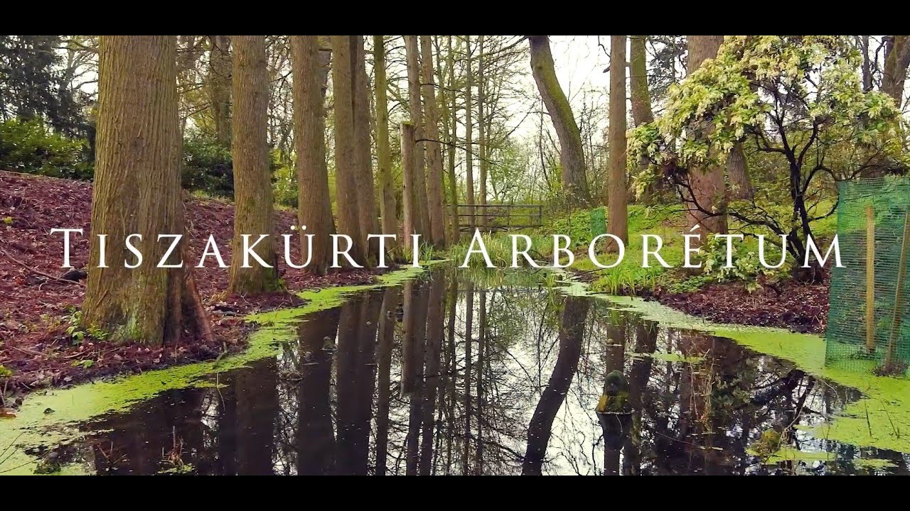 Tiszakürti Arborétum