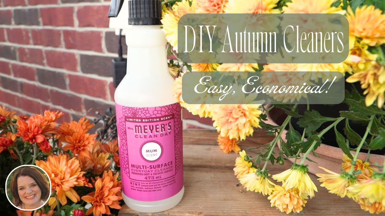 DIY FALL CLEANER! | Autumn Clean With Me 🍂