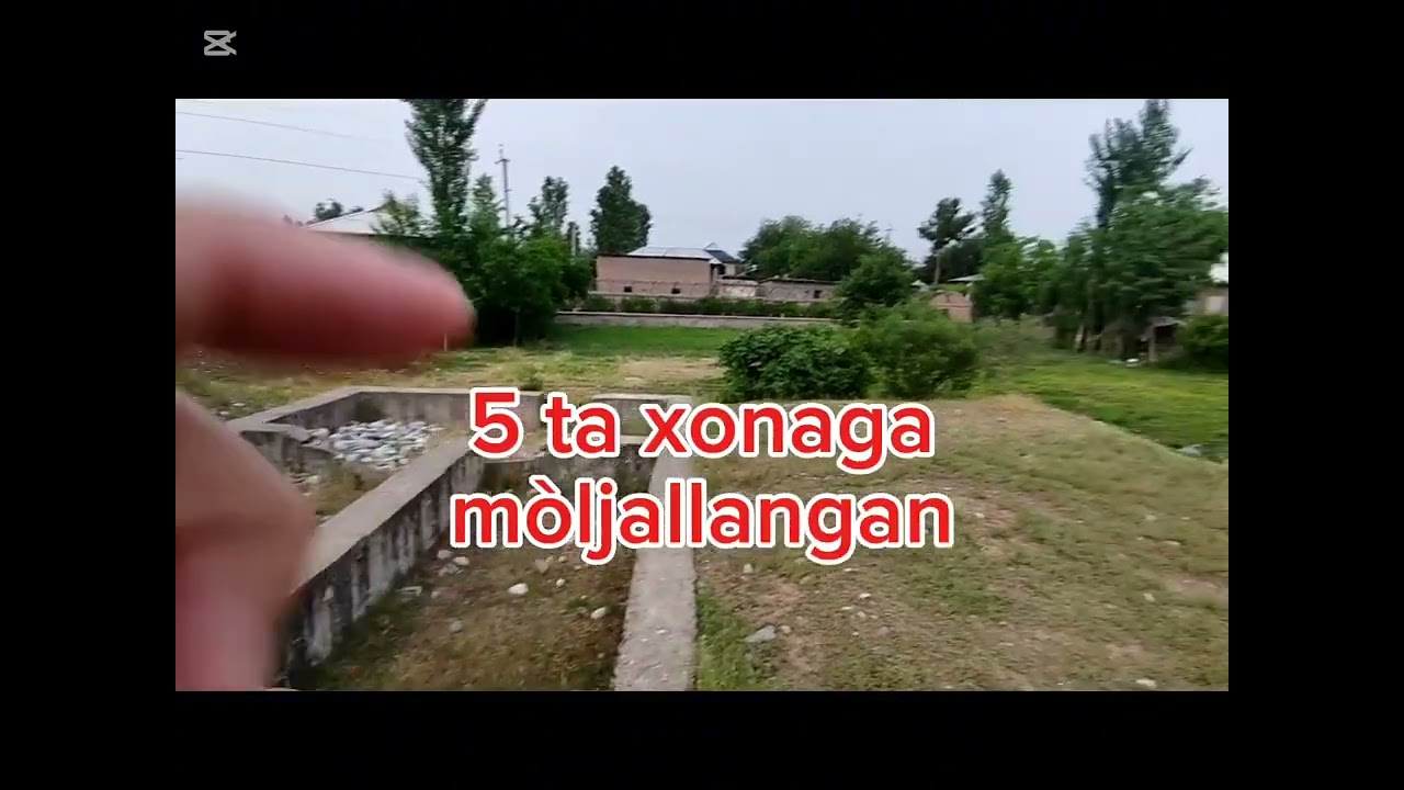 1 мая 2025 г.