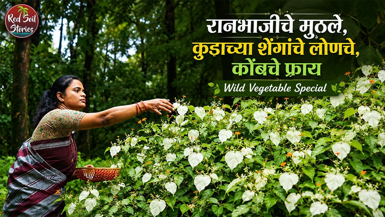 रानभाजीचे मुठले, कुडाच्या शेंगांचे लोणचे, कोंबचे फ्राय | Wild Vegetable Special | Red Soil Stories