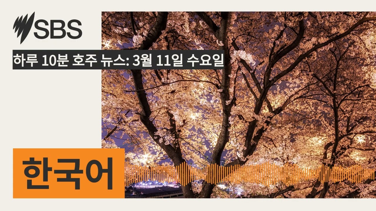 하루 10분 호주 뉴스: 3월 11일 수요일 | SBS Korean - SBS 한국어 프로그램