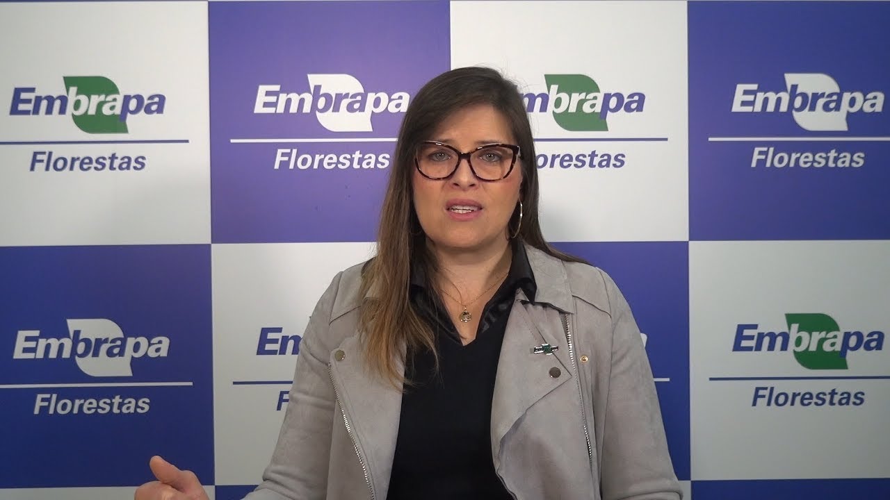 Florestas Online - Informação para pesquisa e inovação florestal