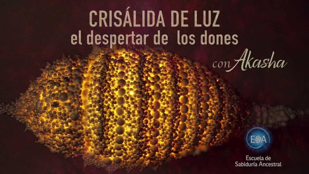 LA CRIS&Aacute;LIDA DE LUZ ✨Meditaci&oacute;n para el despertar de los dones 💛