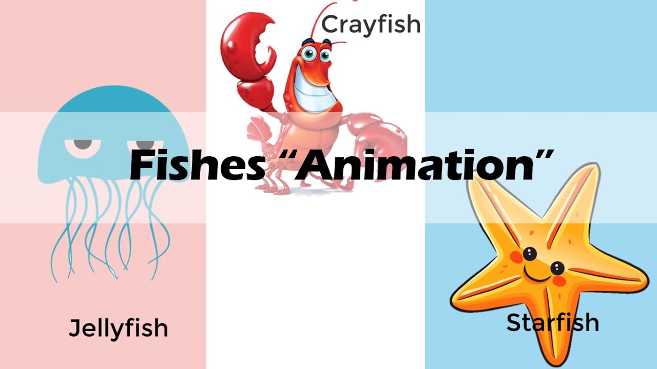 FISHES | Biology Animation