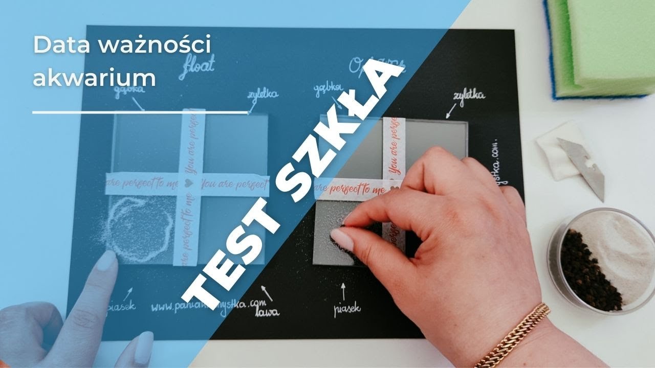 Szkło #akwarium jest odporne na #zarysowania? A co z #sylikonem ?| Pani Akwarystka