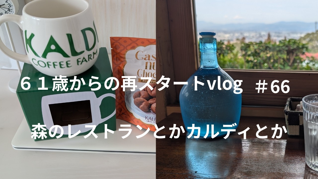 ＜61歳からの再スタートvlog＞＃66 森の中のレストラン/一人でハピバ/カルディコーヒー＆マグカップセット