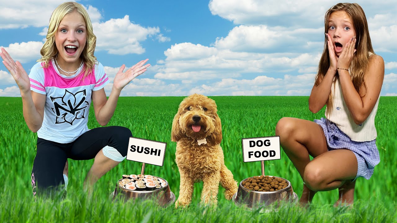 My Dog chooses what we do for 24 hours!