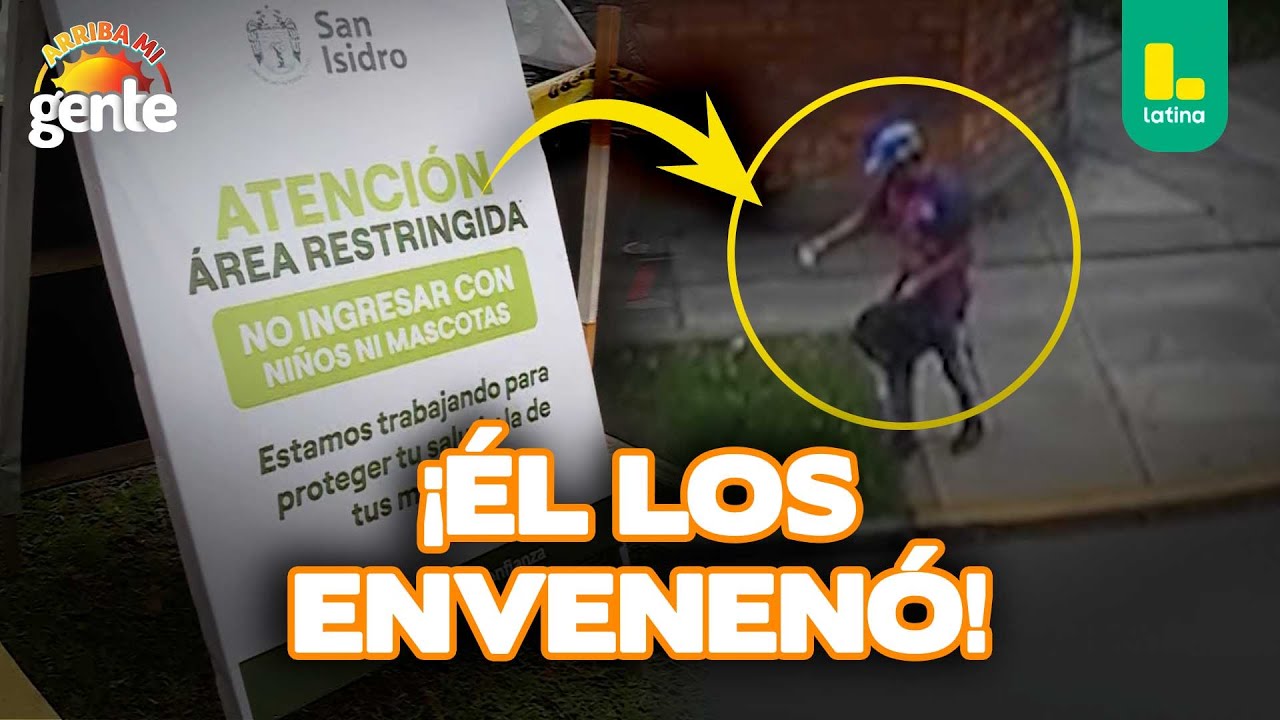 Cámaras muestran al responsable del envenenamiento de perritos en San Isidro | Arriba mi gente 💚