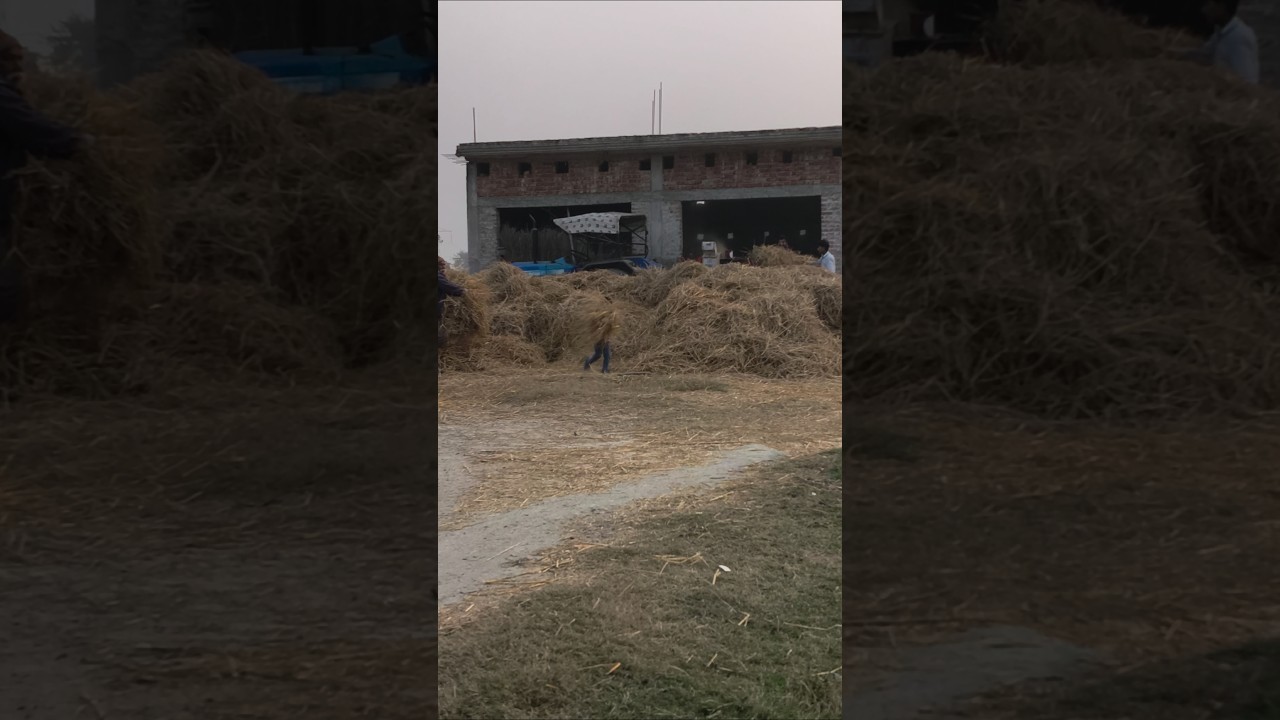 #shorts Mahindra tractor aur New holland tractor video Chara machine ka video #viralshorts