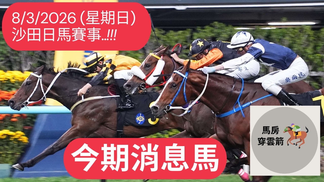 今期消息馬..!!! 8/3/2026 (星期日) 沙田日馬賽事 !! [香港賽馬][賽馬] [賽馬貼士]