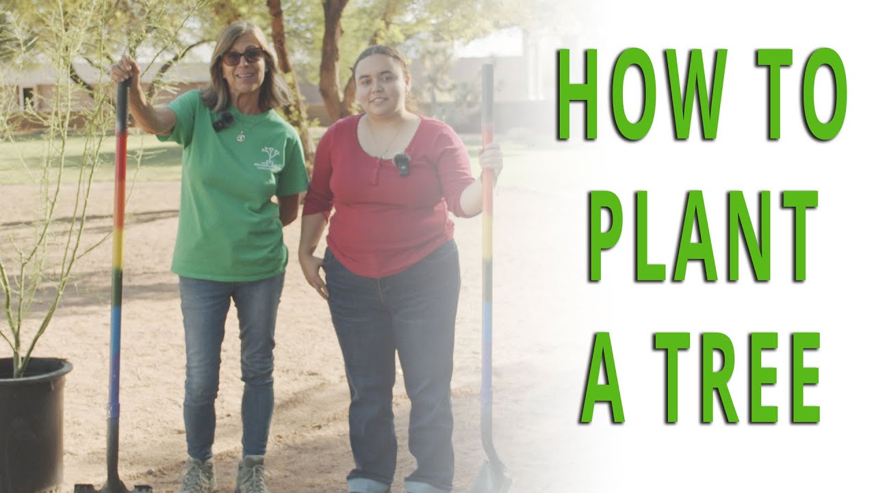 How to Plant A Tree